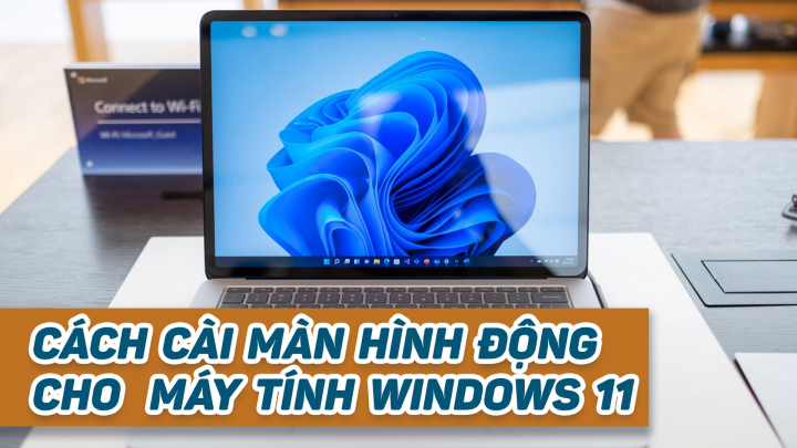 Cách cài hình nền động cho máy tính Windows 11